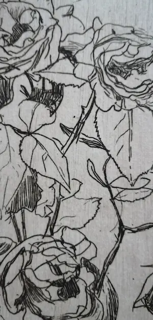 Floris Verster - Rozen kopen? Bied vanaf 65!