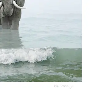 Mr. Strange - Babar op Zanzibar kopen? Bied vanaf 80!
