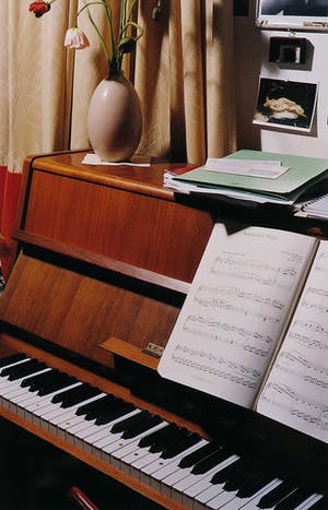 Ellen Mandemaker - Foto, Piano kopen? Bied vanaf 70!