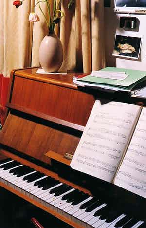 Ellen Mandemaker - Foto, Piano verkocht voor € 70!