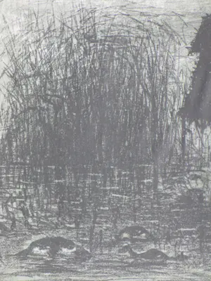 Harry van Kruiningen - Zeeland 1953 - Litho kopen? Bied vanaf 75!