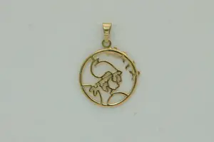 30 - Mooi gedetailleerde 14Karaats geel- gouden Ajax hanger  - gekeurd kopen? Bied vanaf 75!