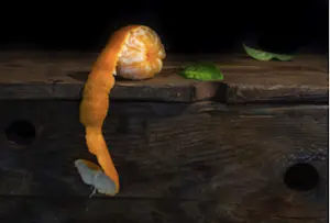 Mos Merab Samii - Peeling Orange - Stilleven Food Photo kaufen? Bieten Sie von 75!
