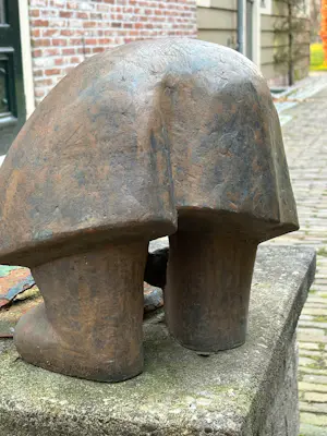 Theo Schreurs - De Schoenveter kopen? Bied vanaf 2795!