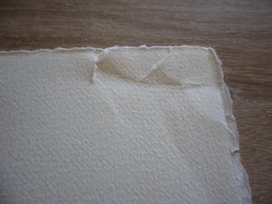 Peter Klashorst - Litho. Titel, "Pregnant". kopen? Bied vanaf 30!