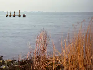Anne-Meike van Willegen - 'Rood licht' kopen? Bied vanaf 1!
