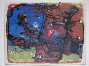 Wim Motz - Litho "Plaszoom" kopen? Bied vanaf 45!