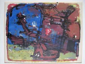 Wim Motz - Litho "Plaszoom" verkocht voor € 45!