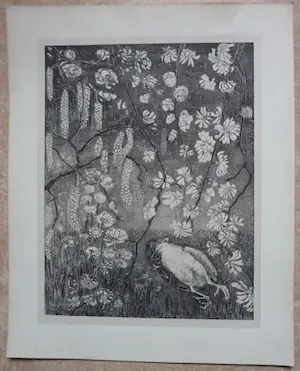 Theo van Hoytema - Lithografie op chine collé - Dood vogeltje 1904 kopen? Bied vanaf 100!