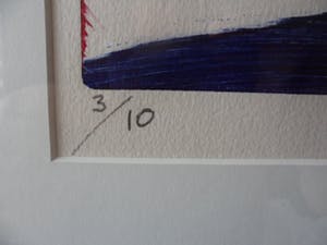 Dana Andreev - Kleurenets, Close Up - Ingelijst kopen? Bied vanaf 60!