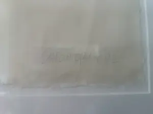 Carola Popma - Onbekend kopen? Bied vanaf 70!