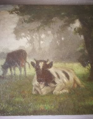 Evert Rabbers - Koeien in de wei. kopen? Bied vanaf 139!