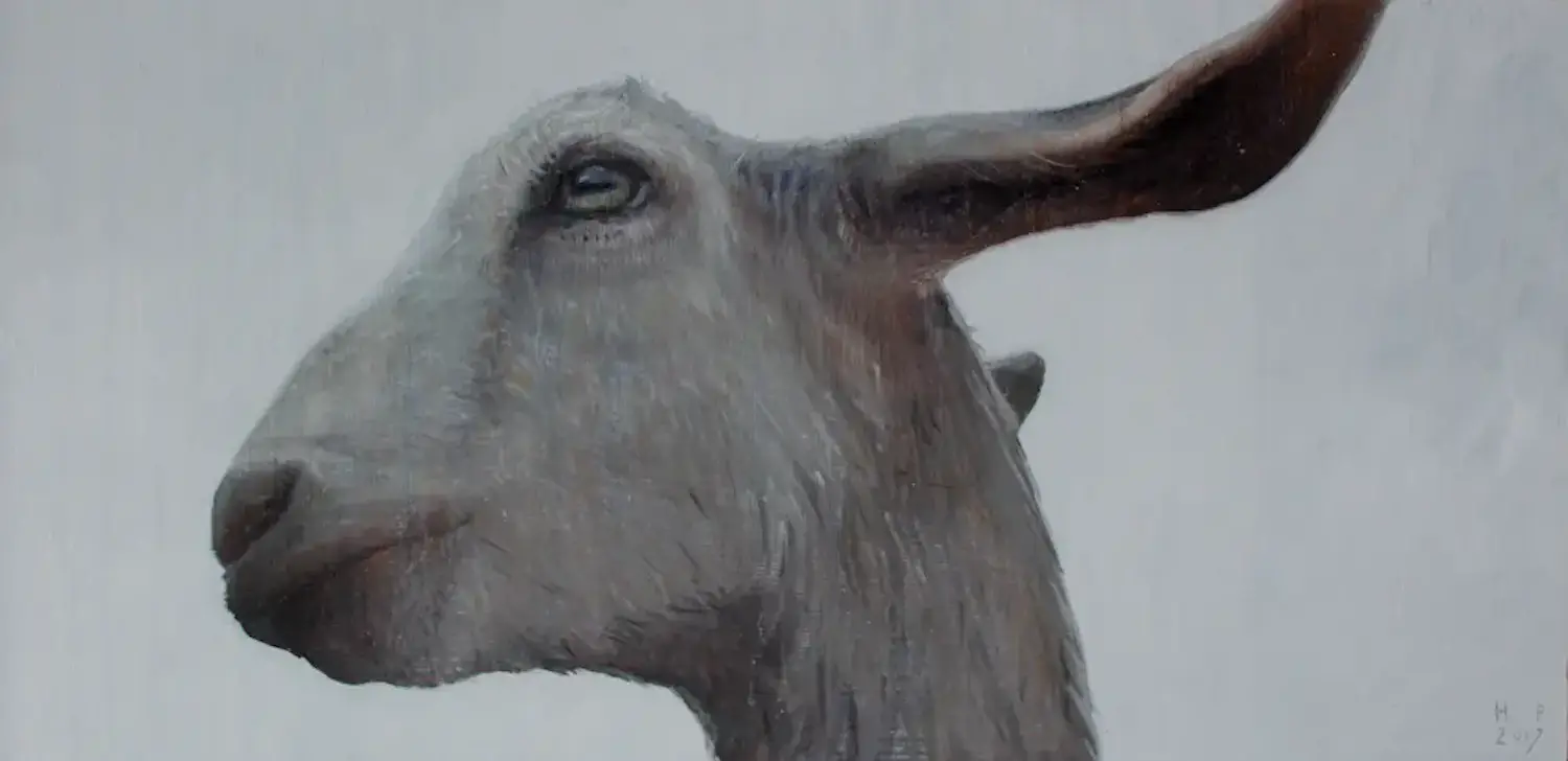 Hinke Posthuma (1971)