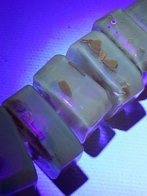 Curiosa - Amber ketting kopen? Bied vanaf 1!