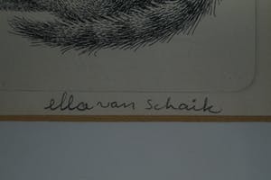 Ella van Schaik - slapende kitten kopen? Bied vanaf 15!