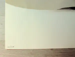 Mario Toral - Lithographie - Limitierte Auflage - signiert - (75 x 55 cm) kopen? Bied vanaf 150!