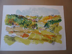 Frank Boom - Litho, Landschap in Limburg, gesigneerd kopen? Bied vanaf 25!