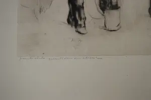 Jan Sirks - paarden kopen? Bied vanaf 25!