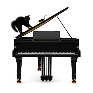 Mr. Strange - PIANISSIMO verkocht voor € 65!