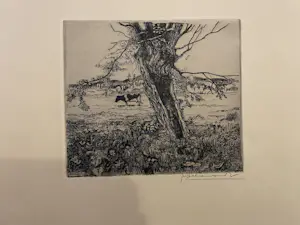 Theo Beerendonk - Knotwilg met koe kopen? Bied vanaf 40!