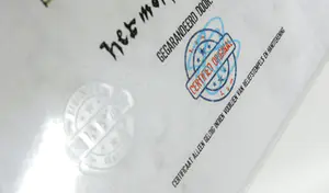 Herman Brood - Gem. Techniek op doek, Feyenoord - Ingelijst (Zeer groot) incl. HB-M cert. kopen? Bied vanaf 3000!