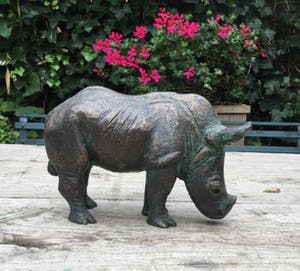 Hetty Heyster - C4830-4C, Neushoorn kopen? Bied vanaf 650!