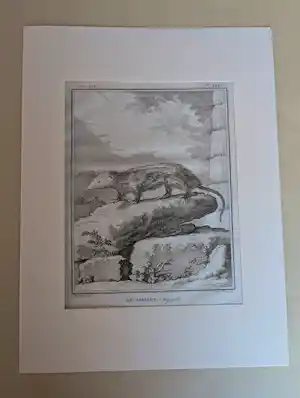 AcheterJacques de Sève - Histoire Naturelle? Enchérissez de 60!