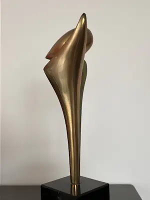 Ruurd Hallema - Adieu kopen? Bied vanaf 209!