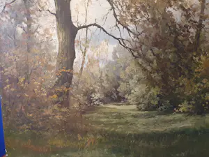 Frans Baaijens - Bos bij Vasse kopen? Bied vanaf 145!