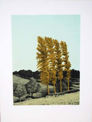 Sees Vlag - Geuldal - Limburg - zeefdruk verkocht voor € 90!