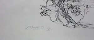 Jaap Kruijff - Litho: geit tussen de bomen kopen? Bied vanaf 49!