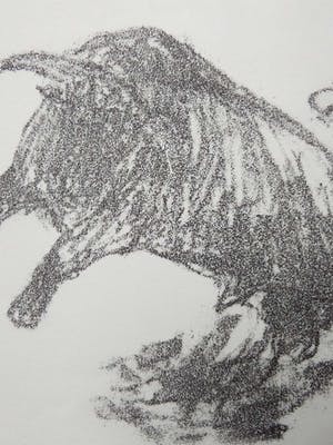 Niet of onleesbaar gesigneerd - Lithografie - Stier. kopen? Bied vanaf 10!