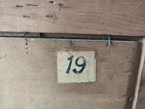 Paul Bodifee - Wilgen met zon kopen? Bied vanaf 300!