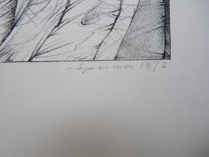 Kees Spermon - LE SENTIMENT DU PAYSAGE kopen? Bied vanaf 40!