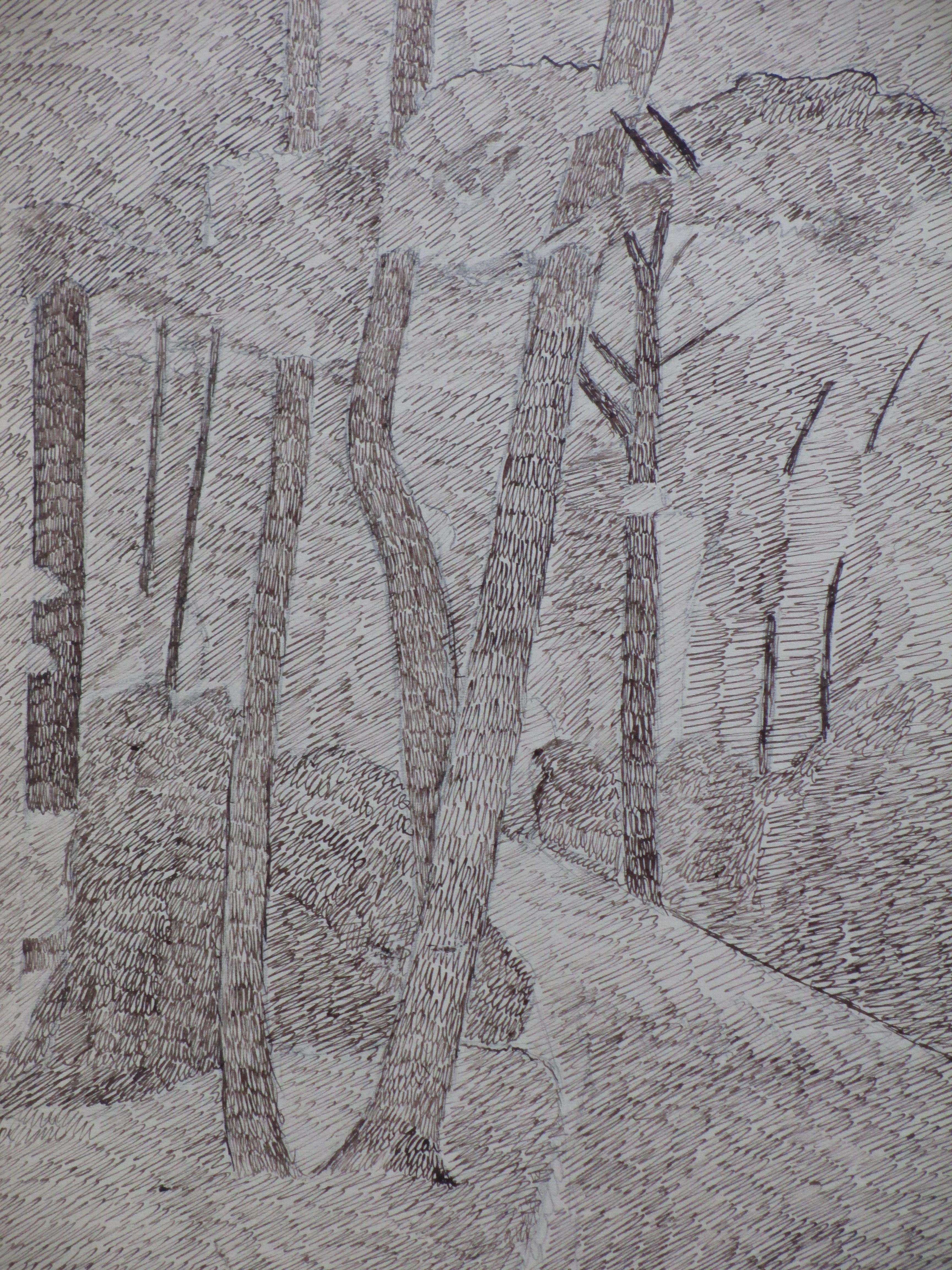 Niet of onleesbaar gesigneerd - Bosgezicht - Tekening, Dirk trap? kopen? Bied vanaf 1!