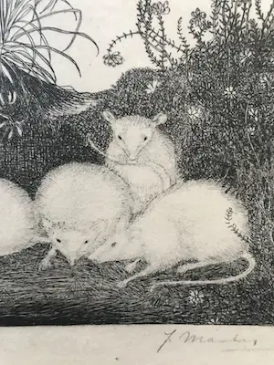 Jan Mankes - Originele Heliogravure 4 Muizen 1923 kopen? Bied vanaf 1!