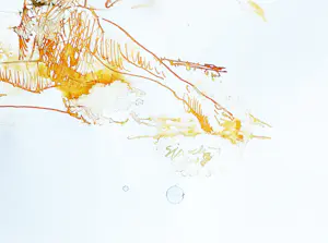 Martin Sjardijn - Model 1 - Frévent 2018 kopen? Bied vanaf 50!