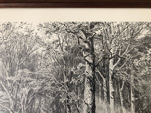 Niet of onleesbaar gesigneerd - Houtbewerkers in het bos kopen? Bied vanaf 1!