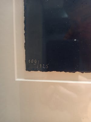 Herman Brood - Banjoman kopen? Bied vanaf 495!