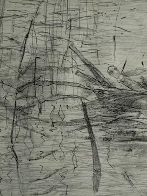 Theo van Hoytema - Litho, Drijvend nest van een dodaars, Texel - 1913 kopen? Bied vanaf 10!