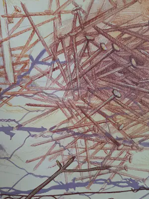 Peter Enter - Amnesry International kopen? Bied vanaf 100!