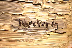 Klaas Koster - Zinnia's in de pot kopen? Bied vanaf 30!