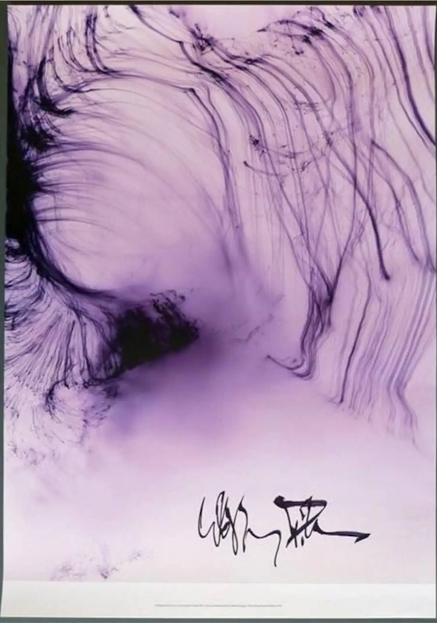 Wolfgang Tillmans Germany Freischwimmer 230 (Free Swimmer
