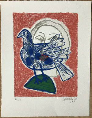 Corneille - Regard sur l'oiseau kopen? Bied vanaf 160!