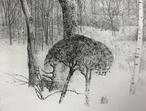 Charles Donker - ets - Noordoostenwind - definitieve, 3e staat - 1984 kopen? Bied vanaf 350!