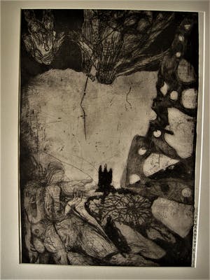Pieter Zwaanswijk - 1966 - Indringend Grafisch Realisme - zeer beperkte oplage ! - gesigneerd kopen? Bied vanaf 10!