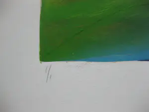 Starlie Sokol-Hohne - Zonder titel kopen? Bied vanaf 150!