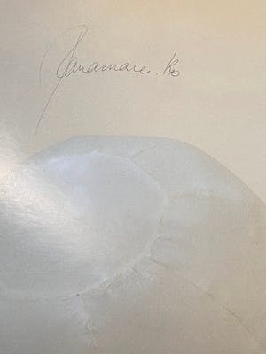 Panamarenko - Bernouilli kopen? Bied vanaf 125!