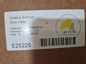 Saskia Bremer - Boa Vista kopen? Bied vanaf 75!