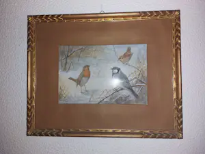 Jan van Oort - Vogels kopen? Bied vanaf 150!